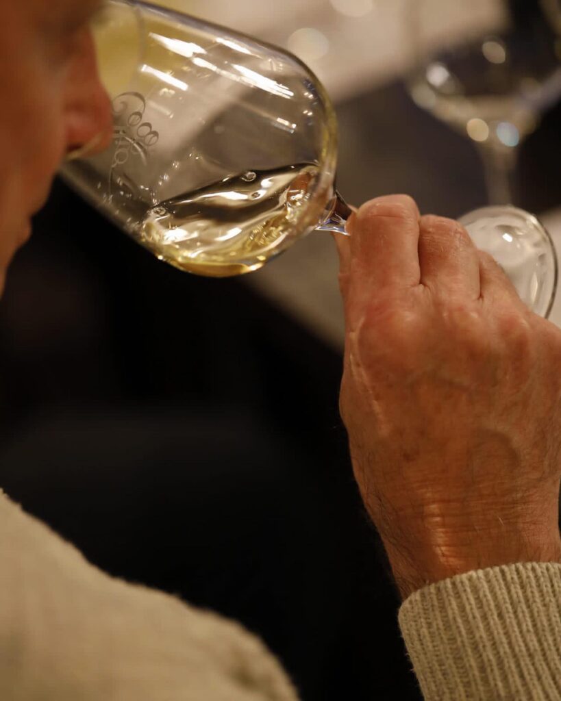 degustazione vini a Cormons